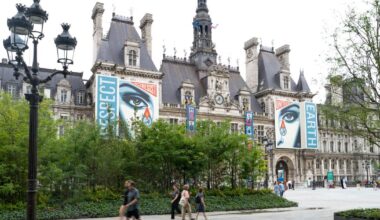 «Devant l’Hôtel de Ville, à Paris, une forêt urbaine en trompe-l'œil»