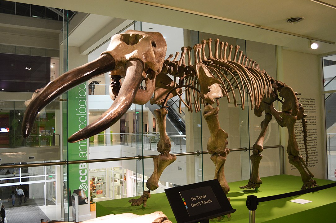 mastodontes