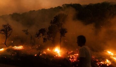 La Cour des comptes européenne met en évidence l'inefficacité des dépenses de l'UE dans la lutte contre les feu de forêt
