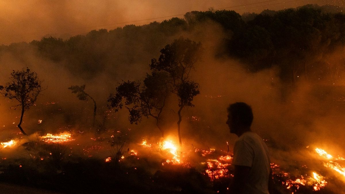 La Cour des comptes européenne met en évidence l'inefficacité des dépenses de l'UE dans la lutte contre les feu de forêt