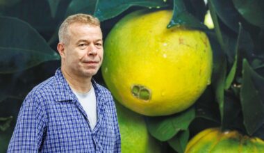 Wolfgang Tillmans au Centre Pompidou : "L'idée était de réfléchir à l'art et la manière d'exposer des œuvres à l'avenir"