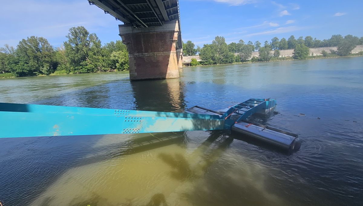 illustration agrandir l