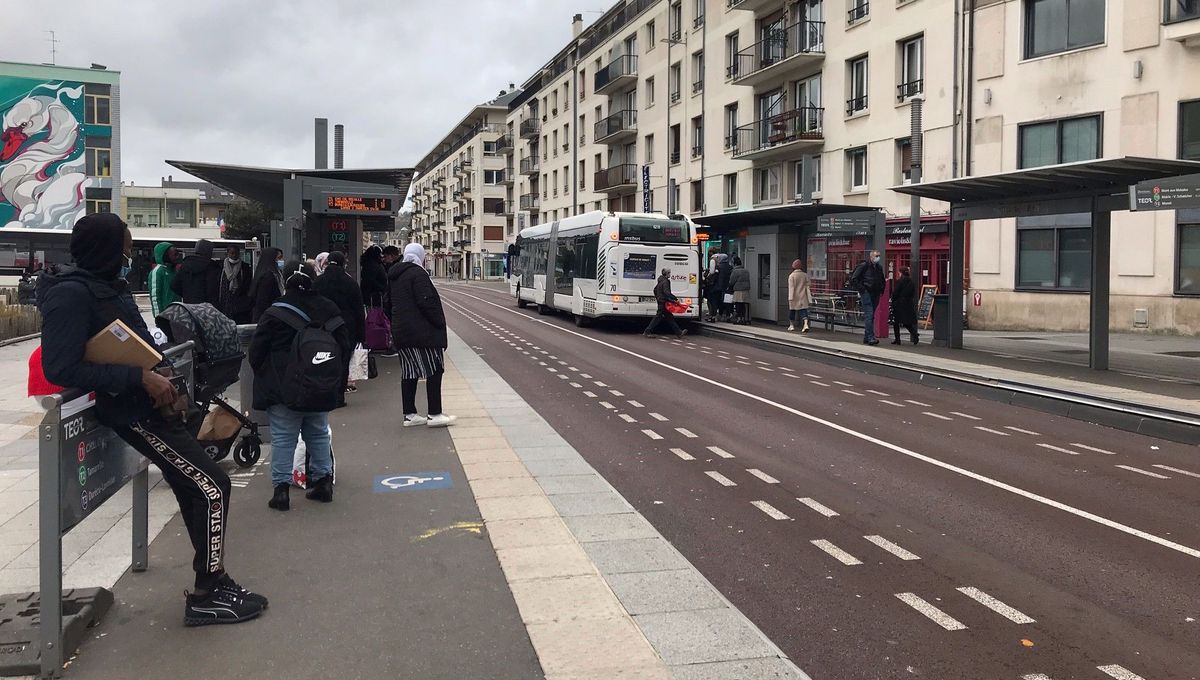 illustration agrandir l