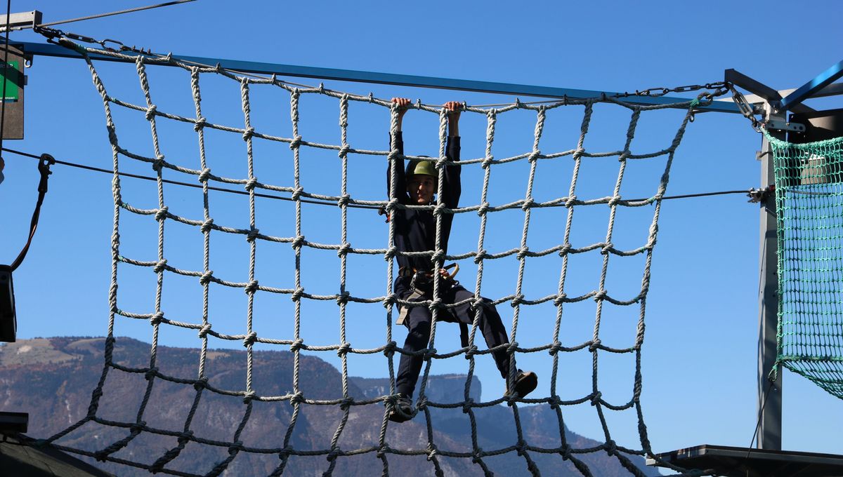 illustration agrandir l