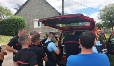 les voleurs fracturent la clôture, les moutons fuient, 20 personnes les recherchent