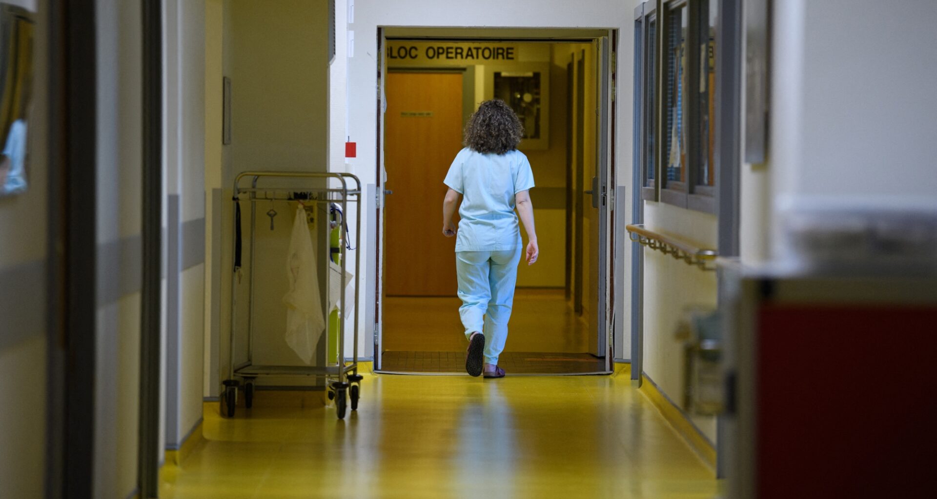 un hôpital fait passer des IRM à des cochons avant des patients cancéreux