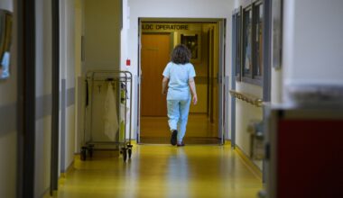 un hôpital fait passer des IRM à des cochons avant des patients cancéreux