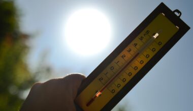 Quel temps fera-t-il cet été ? Les premières tendances de Météo France pour juin, juillet et août
