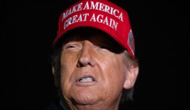 Donald Trump double les droits de douane sur ces métaux dès mercredi, malgré des camouflets