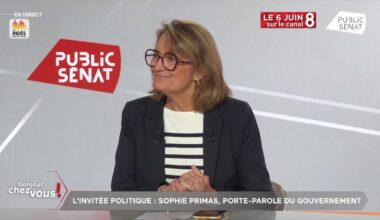 Blocage des sites pornographiques : « Vérifier scrupuleusement l’âge des personnes qui vont sur ces sites-là, me semble être une mesure absolument nécessaire » 