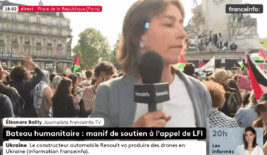 La journaliste de Franceinfo agressée au rassemblement pour le Madleen va porter plainte