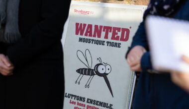 Courrier des lecteurs. Moustique tigre, modification de la place d'Ostwald... c'est vous qui le dites