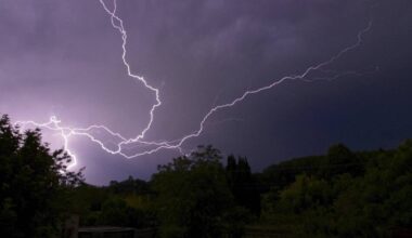 la femme blessée ce vendredi à Paris est décédée