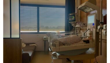 Unique en France. L'hôpital de l’île de Nantes accueillera 32 chambres néonatales-parentales