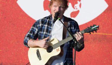 Pierre Garnier, Louane, Vianney... Un artiste français présent au concert d'Ed Sheeran ce soir à Lille?