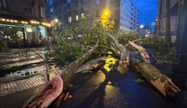 Orages : arbres déracinés, transports perturbés et violentes rafales de vent à Paris, intense perturbation sur une partie de la France