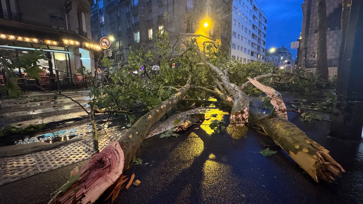 Orages : arbres déracinés, transports perturbés et violentes rafales de vent à Paris, intense perturbation sur une partie de la France