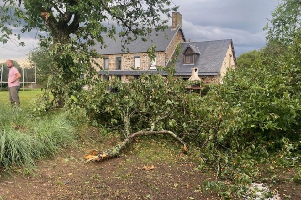 Un particulier complètement désolé de voir ses arbres et son terrain retourné et ses plantes cassées après l'orage du vendredi 13 juin 2025.