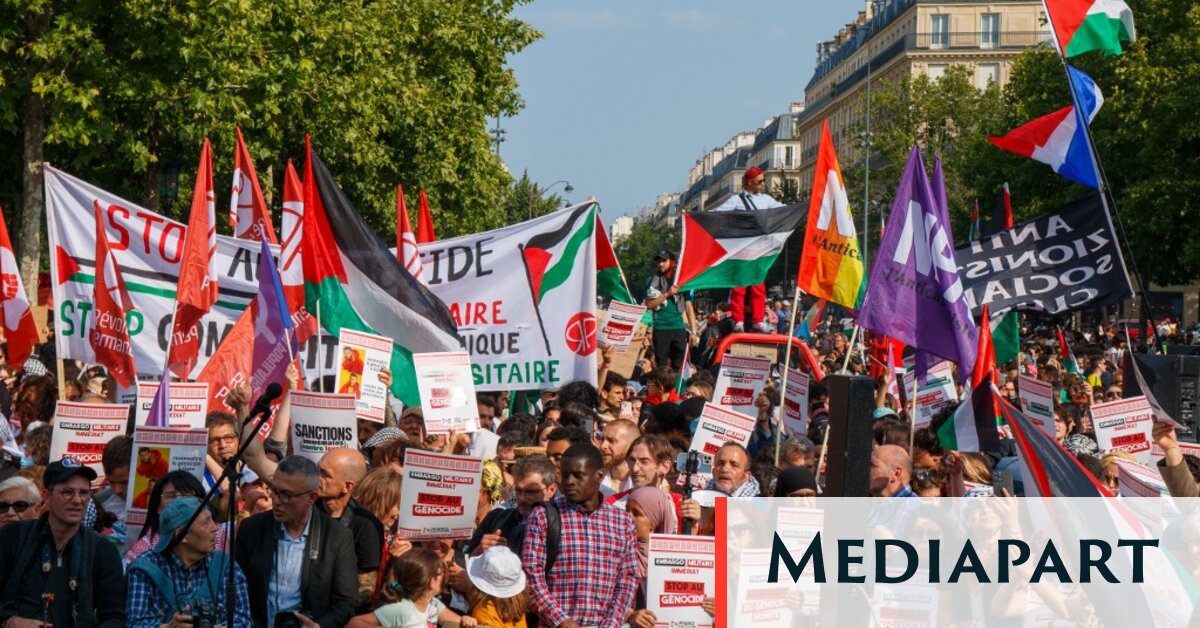 Manifestations massives contre l’interception de la flottille pour Gaza
