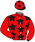 casaque_ZRYAN