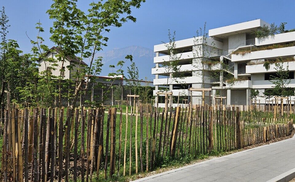Le quartier Flaubert, proche de la Villeneuve à Grenoble, commence à prendre forme. La mairie fait le point sur l'avancée du chantier.