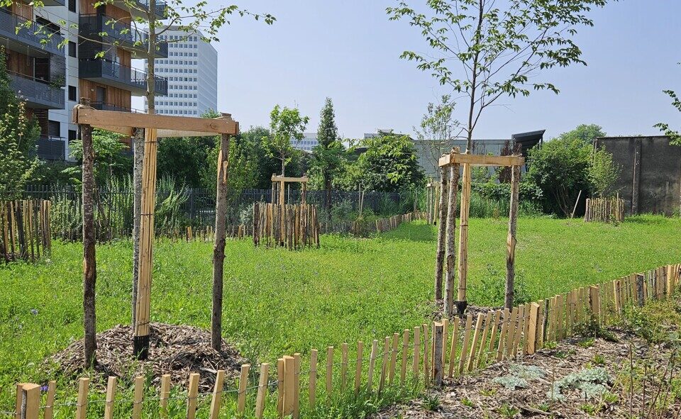 Le quartier Flaubert, proche de la Villeneuve à Grenoble, commence à prendre forme. La mairie fait le point sur l'avancée du chantier.