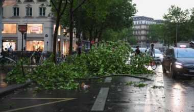 Une femme dans le coma après la chute d’une branche pendant les orages