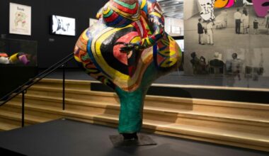 A Paris, retour sur la joyeuse radicalité de Niki de Saint Phalle et Jean Tinguely : Actualités