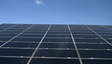 A l'Assemblée, un moratoire sur les éoliennes et panneaux solaires sème la zizanie : Actualités
