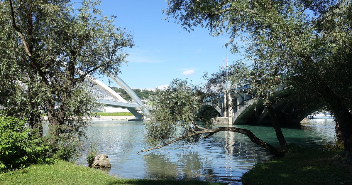 À Lyon, une «baignade dérivante» sur 400 mètres proposée ce dimanche dans le Rhône