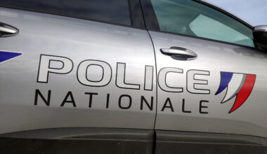 Lille. Accusée de maltraitance animale, une sexagénaire s'en prend violemment à une policière