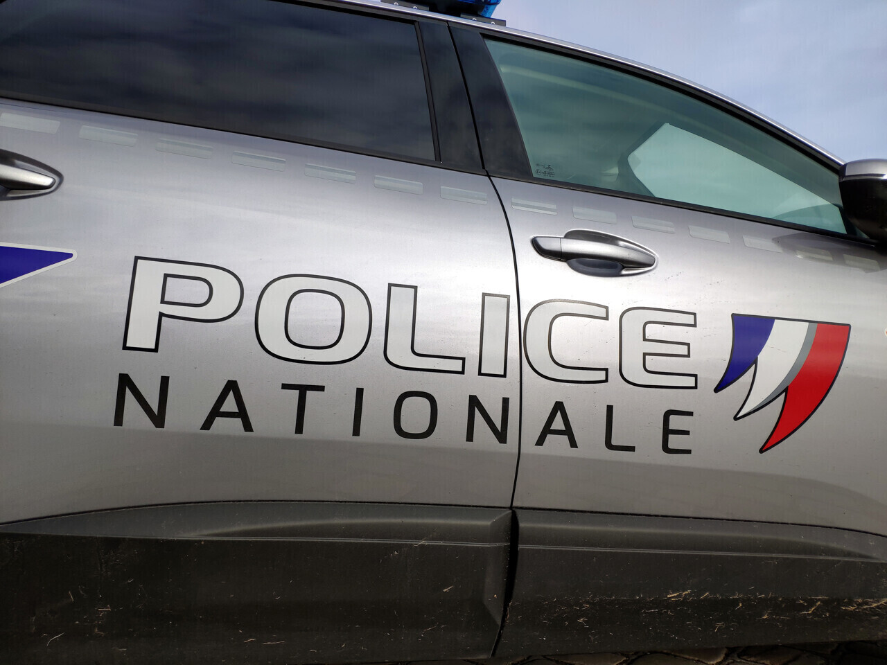 Lille. Accusée de maltraitance animale, une sexagénaire s'en prend violemment à une policière