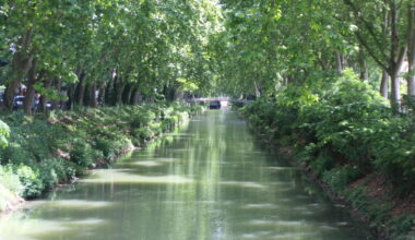 Toulouse. Cette vente aux enchères caritative vient au secours du canal du Midi
