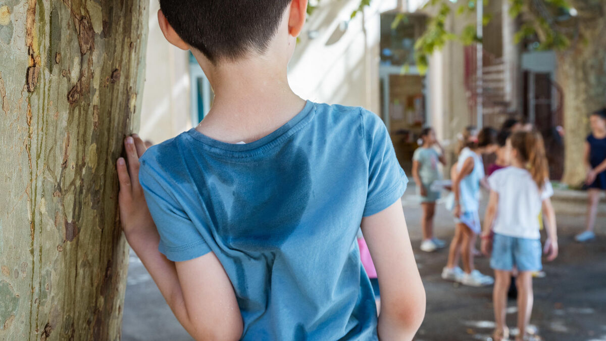 Canicule : plusieurs écoles fermées la semaine prochaine face aux fortes chaleurs