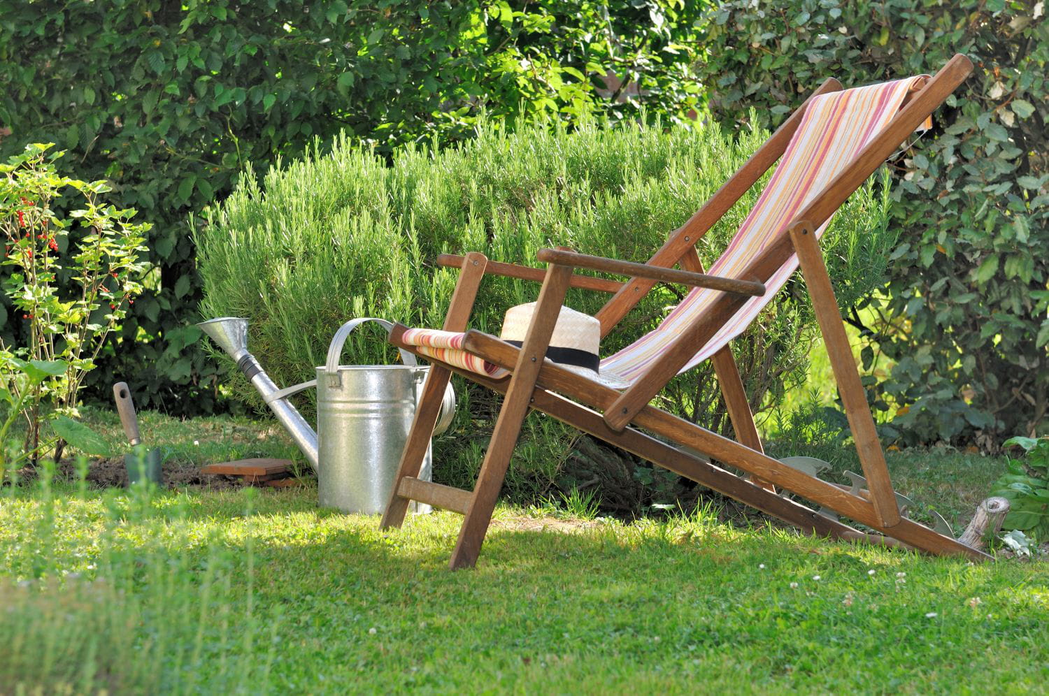 Cet oubli tout bête peut transformer votre jardin en enfer cet été