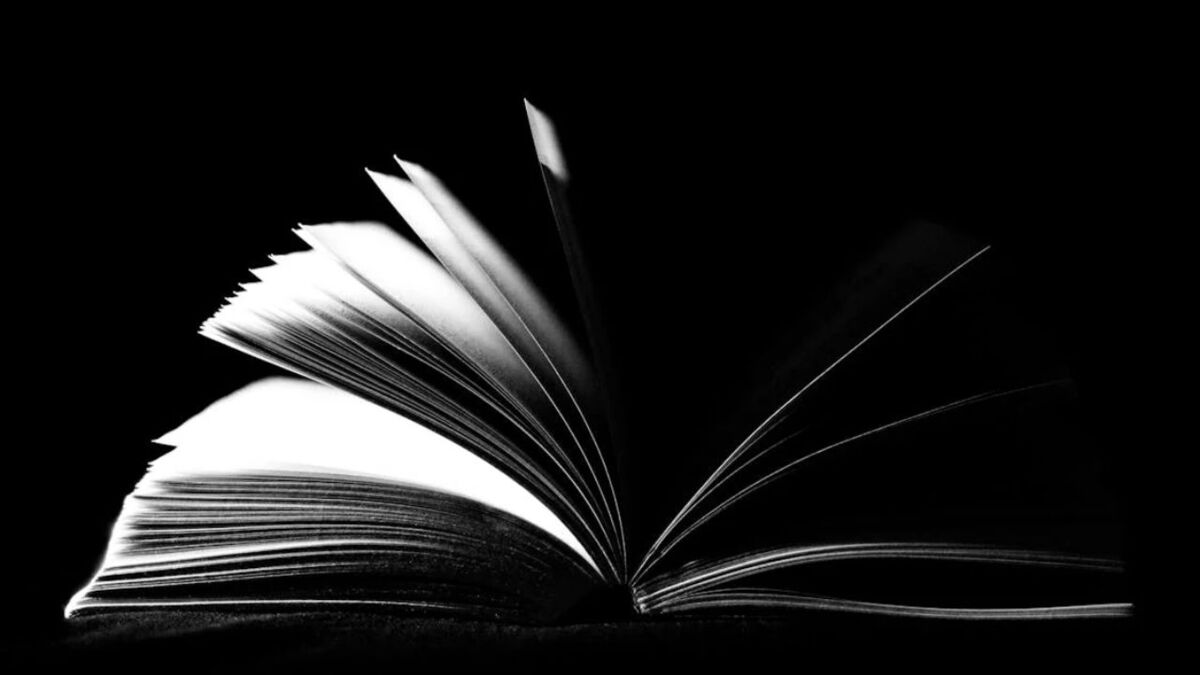 Stephen King : son dernier livre est un best-seller et il est disponible à moins de 25 euros sur Amazon