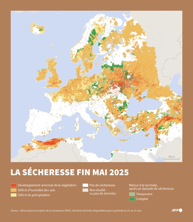 Carte d