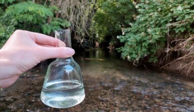Polluants éternels, procès d'un suprémaciste blanc, ligne 17 du métro... L'info à midi en Île-de-France