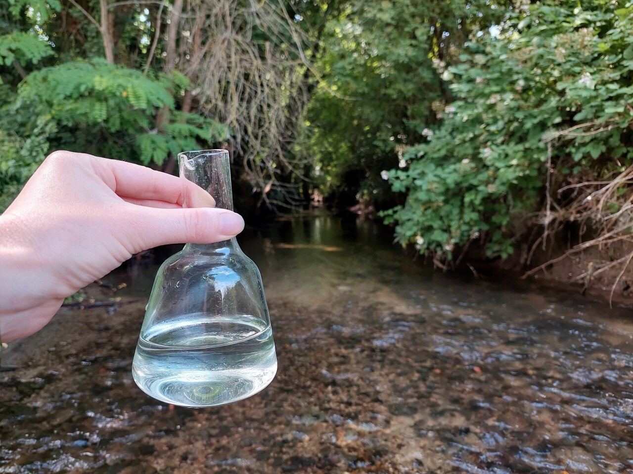 Polluants éternels, procès d'un suprémaciste blanc, ligne 17 du métro... L'info à midi en Île-de-France