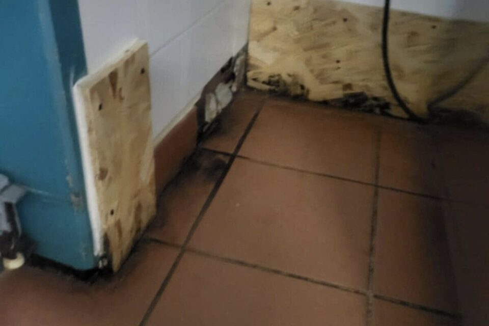 De la moisissure et des trous rebouchés sur les murs qui laissent passer les rats 
