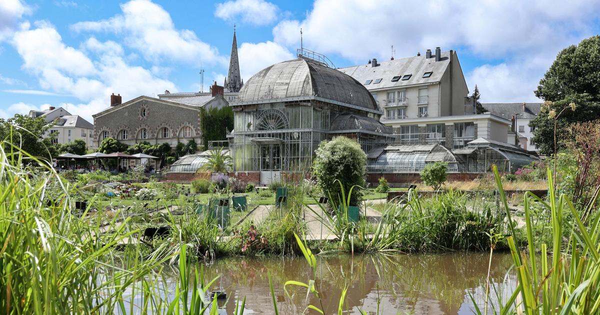 «Il n’y aura jamais d’écologie sans les écologistes» assurent les alliés verts de la maire socialiste