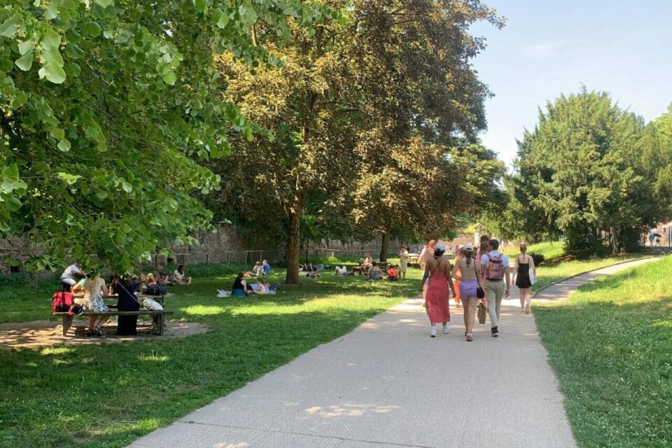 À deux pas du zoo, des espaces pour pique-niquer.