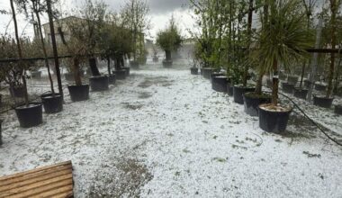 Ravagée par un violent orage de grêle, cette entreprise familiale annonce rouvrir et lance une cagnotte