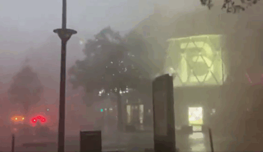 Arbres couchés, quais inondés, rafales de vent à 90 km/h... Les images du violent orage qui a frappé Paris