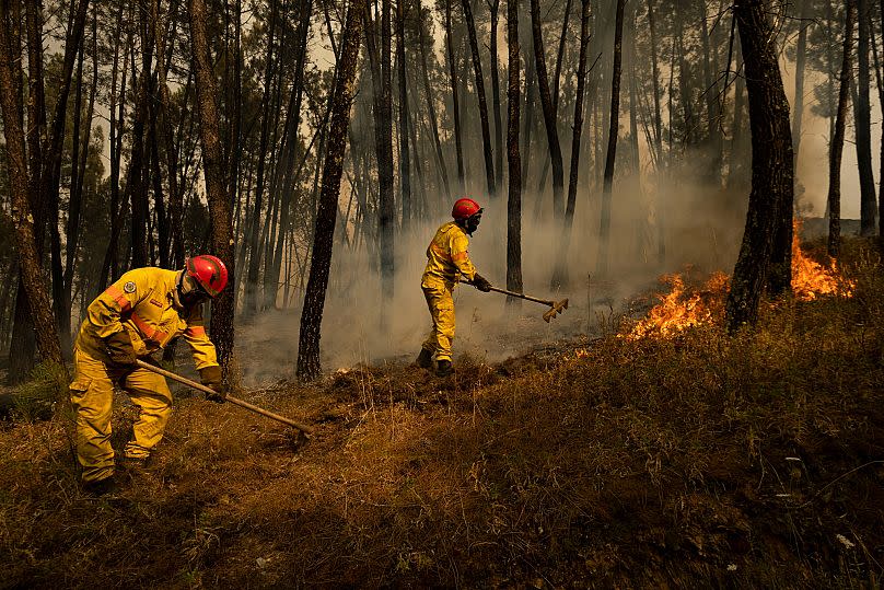 À l'été 2024, 120 000 hectares avaient brulé au Portugal.