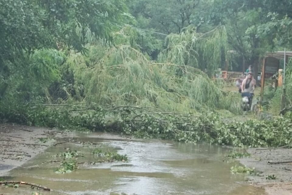 Un déluge touche ce dimanche le Safari de Peaugres au sud de Lyon, en Ardèche.