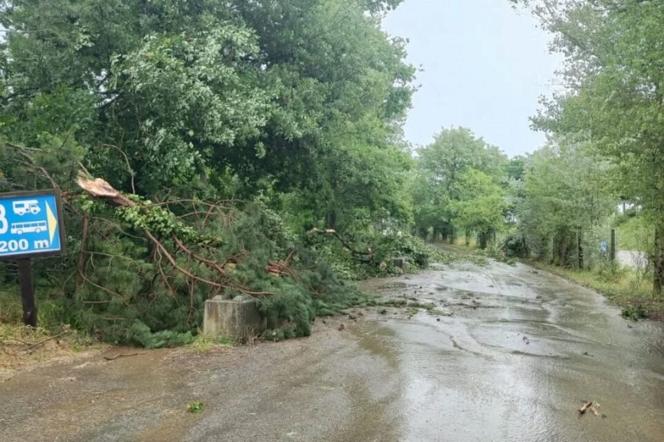 Un déluge touche ce dimanche le Safari de Peaugres au sud de Lyon, en Ardèche.