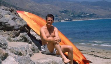 “La “surf music” des Beach Boys a participé à la marchandisation d’une pratique des autochtones hawaïens”