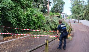Grêle, trains annulés, chutes d'arbres... Des dégâts déjà constatés à cause des violents orages ce mercredi