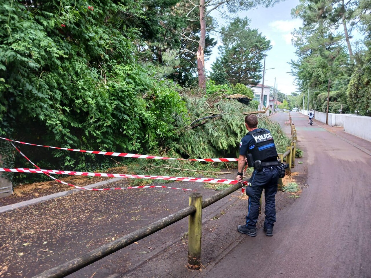 Grêle, trains annulés, chutes d'arbres... Des dégâts déjà constatés à cause des violents orages ce mercredi